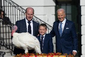 Biden Pardons The Thanksgiving Turkey - Washington