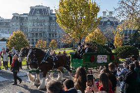 Jill Biden Receives The White House Christmas Tree - Washington