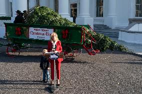 Jill Biden Receives The White House Christmas Tree - Washington