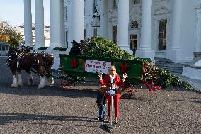 Jill Biden Receives The White House Christmas Tree - Washington