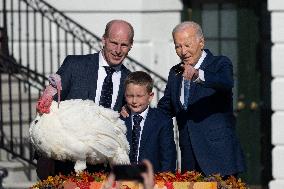 Biden Pardons The Thanksgiving Turkey - Washington