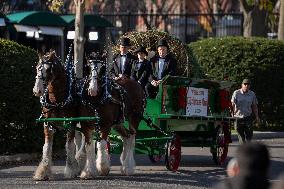 Jill Biden Receives The White House Christmas Tree - Washington