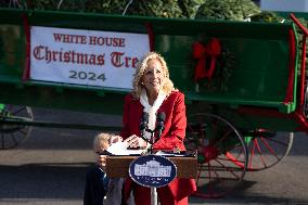 Jill Biden Receives The White House Christmas Tree - Washington