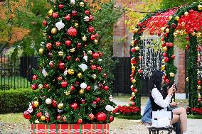 Nagoya Christmas Atmosphere