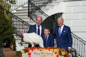 President Biden Pardons A Thanksgiving Turkey At A White House Ceremony On November 25, 2024.