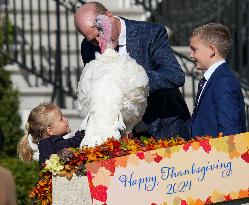 President Biden Pardons A Thanksgiving Turkey At A White House Ceremony On November 25, 2024.