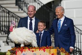 President Biden Pardons A Thanksgiving Turkey At A White House Ceremony On November 25, 2024.