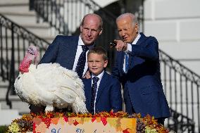 President Biden Pardons A Thanksgiving Turkey At A White House Ceremony On November 25, 2024.