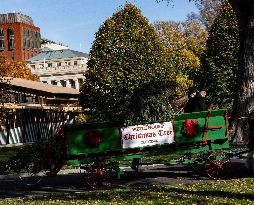 The Official White House Christmas Tree Arrived At The White House