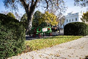 The Official White House Christmas Tree Arrived At The White House