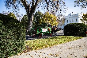 The Official White House Christmas Tree Arrived At The White House