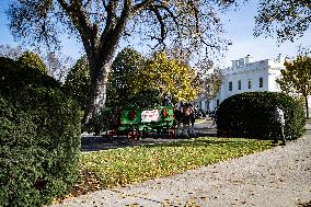 The Official White House Christmas Tree Arrived At The White House