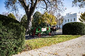 The Official White House Christmas Tree Arrived At The White House