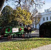 The Official White House Christmas Tree Arrived At The White House