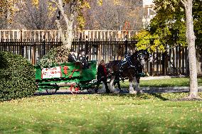 The Official White House Christmas Tree Arrived At The White House