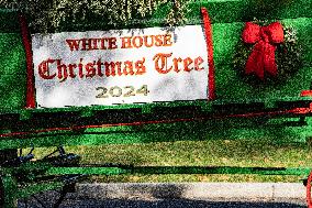 The Official White House Christmas Tree Arrived At The White House