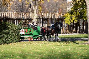 The Official White House Christmas Tree Arrived At The White House