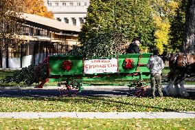 The Official White House Christmas Tree Arrived At The White House