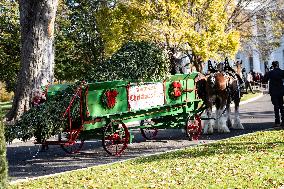 The Official White House Christmas Tree Arrived At The White House