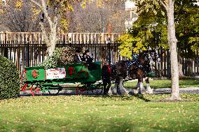 The Official White House Christmas Tree Arrived At The White House