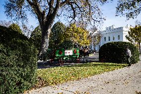 The Official White House Christmas Tree Arrived At The White House