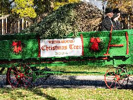 The Official White House Christmas Tree Arrived At The White House