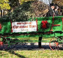 The Official White House Christmas Tree Arrived At The White House