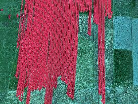 Drying Red Fabric - Bangladesh