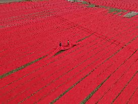 Drying Red Fabric - Bangladesh