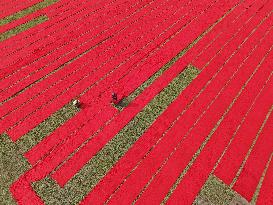 Drying Red Fabric - Bangladesh