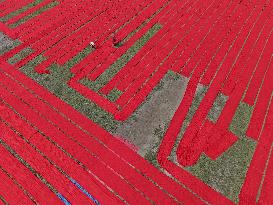 Drying Red Fabric - Bangladesh