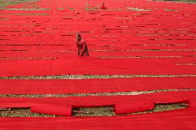 Drying Red Fabric - Bangladesh