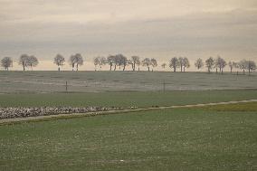 November Landscapes From The Lesser Poland Area