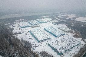 Ice Cube Reserve - China