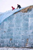 Ice Cube Reserve - China