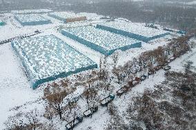 Ice Cube Reserve - China