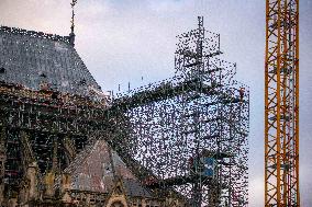 Illustration - Notre-Dame de Paris Cathedral - Paris