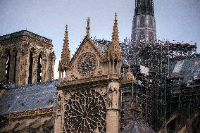 Illustration - Notre-Dame de Paris Cathedral - Paris