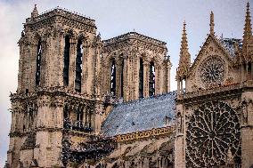 Illustration - Notre-Dame de Paris Cathedral - Paris