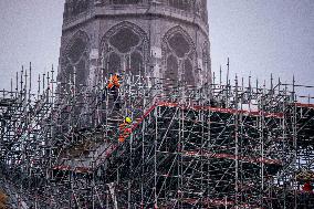 Illustration - Notre-Dame de Paris Cathedral - Paris