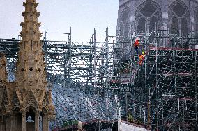 Illustration - Notre-Dame de Paris Cathedral - Paris