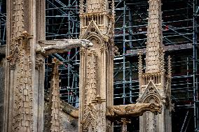 Illustration - Notre-Dame de Paris Cathedral - Paris