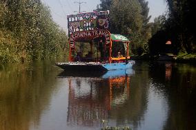 Sale Of Poinsettia Begins In Xochimilco, Mexico City