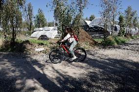 Sale Of Poinsettia Begins In Xochimilco, Mexico City