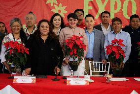 Sale Of Poinsettia Begins In Xochimilco, Mexico City