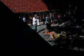 Sale Of Poinsettia Begins In Xochimilco, Mexico City