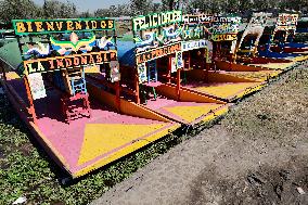 Sale Of Poinsettia Begins In Xochimilco, Mexico City