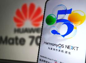 Huawei Native Harmony OS NEXT