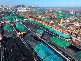 Electric Coal Supply