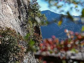 Yandang Mountain Scenic Spot - China